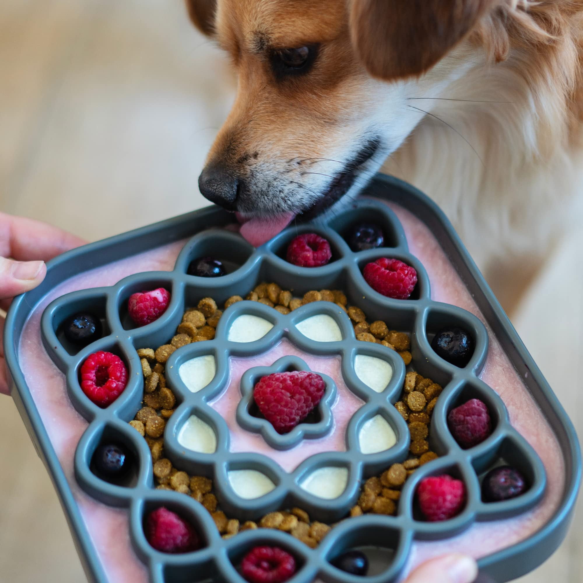 Messy Mutts Interactive Square Slow Feeder | Cool Grey (8 Cup) | 11” x 11” Square Puzzle Slow Feeder for Dogs | Enrichment Food Dish for Slow Eating, Bloating