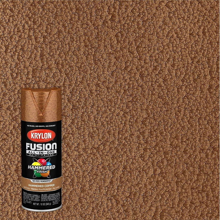 Krylon K02786007 Fusion All-In-One Spray Paint for Indoor/Outdoor