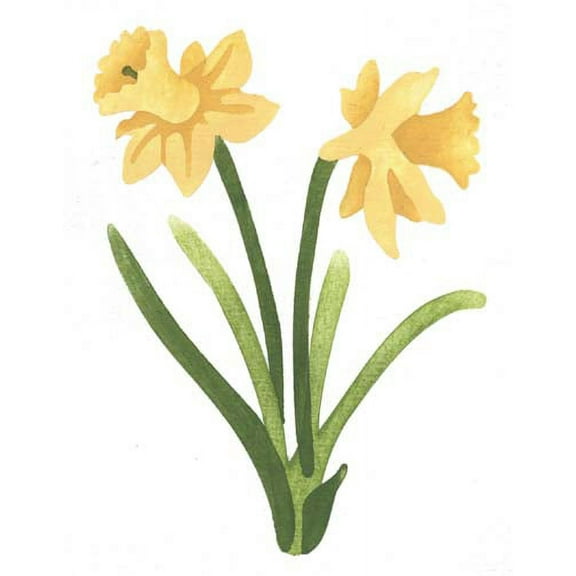 Large Daffodil Wall Stencil SKU #3040B by Designer Stencils