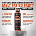 thumbnail image 4 of Suplemento líquido de L-carnitina ALPHA LION Burn 20 2000 mg, 4 of 8