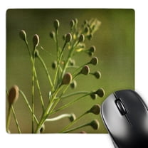 3dRose, naturel dots, MousePad