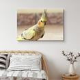 thumbnail image 1 of PixonSign Canvas Print Wall Art Yellow Side Profile Cockatiel Birds Wildlife Photography Realism Contemporary Relax/Calm Multicolor Ultra for Living Room, Bedroom, Office - 32"x48", 1 of 5