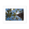 thumbnail image 1 of Trees Sunshine Blue Sky Photo Mount Frame Picture Art Painting Desktop 5x7 inch, 1 of 3