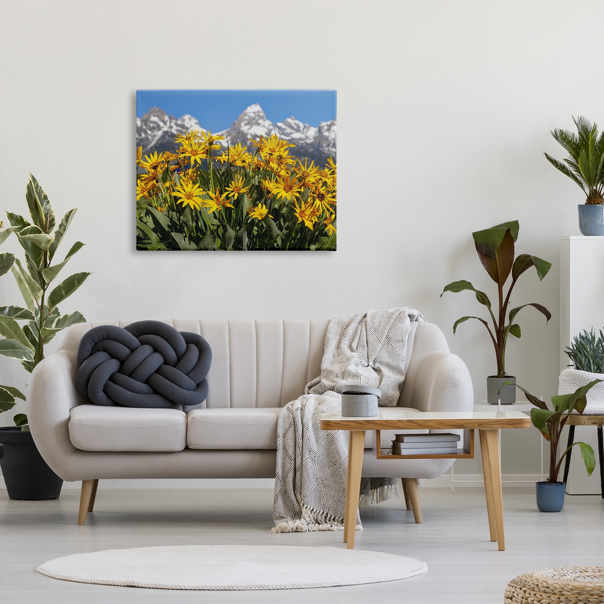 Stupell Industries Daisy Meadow & Mountains Landscape Photography Gallery Wrapped Canvas Art Print Wall Art, 40 x 30
