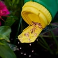 thumbnail image 2 of Miracle-Gro Shake N Feed All Purpose Plant Food 12-4-8 2.04 Kg, 2 of 5