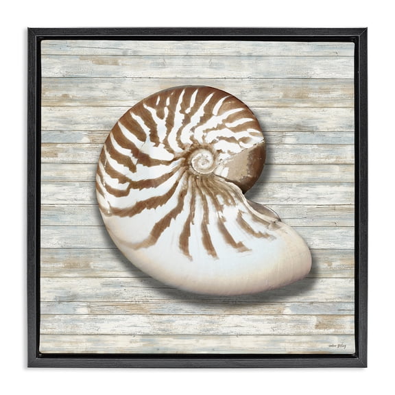 Stupell Industries Cowrie Shell on Shiplap Black Framed Floater Canvas Wall Art design by Amber Sterling, 18 x 18
