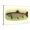 Canvas, variant on Art.com Eastern Brook Trout Stretched Canvas Print Wall Art, 18" x 12"