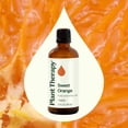 thumbnail image 5 of Plant Therapy Sweet Orange Essential Oil 100% Pure, Undiluted, Natural Aromatherapy, Therapeutic Grade 100 mL (3.3 oz), 5 of 9