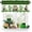Green Dwarf, variant on 54x18 Inches Shamrock Logo White Green Buffalo Grove Window Valance St. Patrick''s Day Lucky Straw Money Love Symbol Cafe Kitchen Dining Room Window Decoration