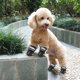 thumbnail image 1 of 4 Uds. Zapatos antideslizantes impermeables para perros, calzado suave y luminoso para cachorros, suministros para mascotas Tmvgtek Para estrenar, 1 of 9