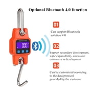 Micro Crane Scale 300kg 50g Heavy Duty Rechargeable Hanging Hook Scales Digital Steel Weight Balance ,Easy Use