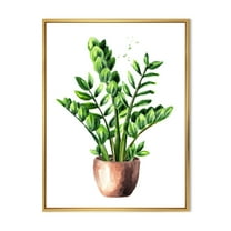 Designart 'Zamioculcas Tropical Plant With Green Leaves On White' Traditional Framed Canvas Wall Art Print