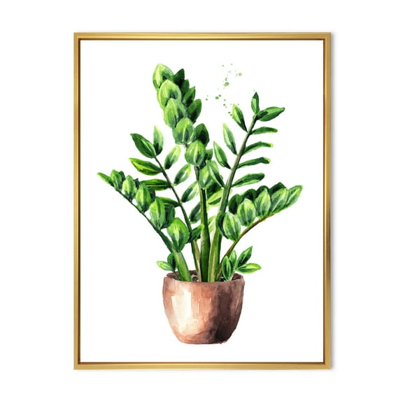 Designart 'Zamioculcas Tropical Plant With Green Leaves On White' Traditional Framed Canvas Wall Art Print