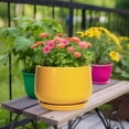 thumbnail image 7 of Ordivic 9 Inch Yellow Ceramic Planter with Drainage Hole and Saucer – Round Flower Pot for Large Indoor Plants, Bright Home Decor, 7 of 7
