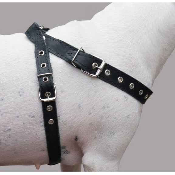 Black High Quality Real Leather Dog Harness Medium. 21"-25" Chest, 1" Wide Straps