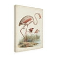 thumbnail image 2 of Unknown 'Antique Waterbirds IV' Canvas Art, 2 of 3