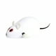 thumbnail image 5 of Juguete de ratón de simulación de peluche para gatos, ratón de cuerda de relojería, alivia el aburrimiento, adecuado para gatos, de peluche, blanco, 5 of 6