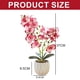 thumbnail image 2 of Película de impresión 3D, doble tenedor, phalaenopsis, bonsái, decoración del hogar, simulación de plantas en macetas, 2 of 5