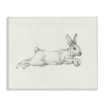 Stupell Industries Jumping Rabbit Sketch Animals & Insects Drawing Gallery Wrapped Canvas Art Print Wall Art, 48 x 36