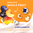 thumbnail image 4 of Welch's Fruit 'N Yogurt Blueberry-Acai. & Mango-Peach Soft Fruit Snacks, .7 oz, 20 Count, 4 of 18