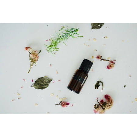 Lavender Essential Oil | Essential Oils | Organic Oils | Natural Lavender Essential Oil | Skin Meditation | Diffuser essential oil