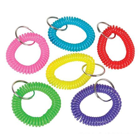 2.5” Spiral Keychain - 12-Pack Wristlet Key Holder - Keyring for Bag and Belt Loop Accessory, Back to School Item, Arts & Crafts, Educational Tool, Party (Best Keyring Multi Tool)