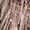 Beige, variant on Up to 65 off!Lolmot Sequin Dress for Women 1920s Gatsby Roaring Glitter Flapper Dress Sexy Strappy Tassel Fringe Sparkly Party Dress Cocktail Evening Mini Bodycon Dress