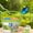 Green, variant on Ovzne 11-Piece Explorer Toy Set – Outdoor Science Kit with Magnifying Glass, Bug Catcher Collection Tools