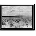thumbnail image 2 of Historic Framed Print, MINIDOKA PROJECT. U.S. RECLAMATION BUREAU. MINIDOKA DESERT IN 1905, BEFORE IRRIGATION, 17-7/8" x 21-7/8", 2 of 9