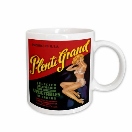 

3dRose Plenti Grand Select Vegetables in Season with Pretty Pin Up Girl Ceramic Mug 15-ounce