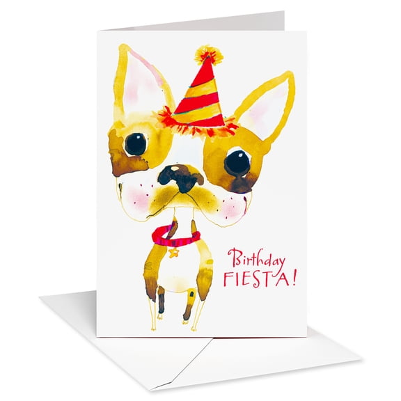 American Greetings Birthday Card (Birthday Fiesta!)