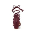 thumbnail image 2 of BLISSFUL STEP Women Pointed Toe Block Heels Lace Up Pumps Burgundy 5, 2 of 7