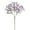 Purple, variant on Artificial Boy'S Breath Is Used for Decoration, and A Light Bouquet Of Boy'S Breath Is Used for Flower Arrangements