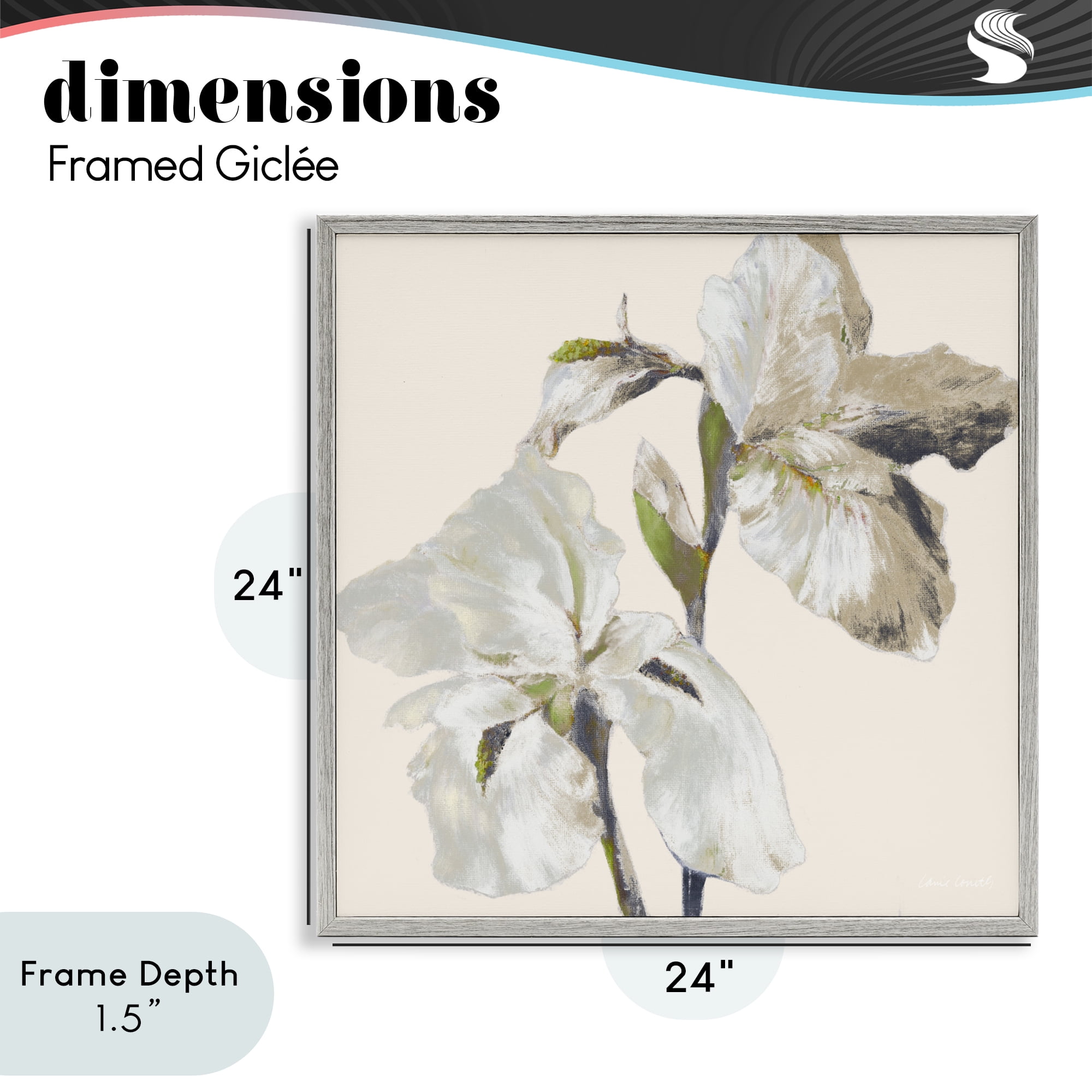 Stupell Industries Irises Soft Beige Gray Framed Giclee Art, design by Lanie Loreth