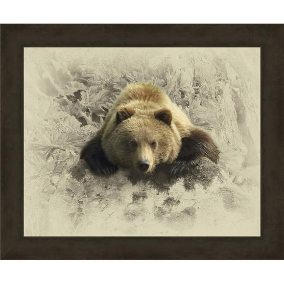Somerset House Publishing 7304 29.5 x 35.5 in. Curieux Grizzly&44; Cadre Giclée Toile Art - Noir