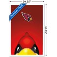 thumbnail image 3 of NFL Arizona Cardinals - S. Preston Mascot Big Red 20 Wall Poster, 22.375" x 34", Framed, 3 of 3