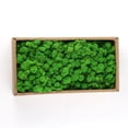 thumbnail image 1 of Musgo reno núcleo eterno musgo 500g flor artificial planta verde decoración de pared paisaje diy, 1 of 4
