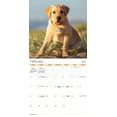 thumbnail image 4 of Trends International 2024 Puppies Wall Calendar & Magnetic Frame, 4 of 8