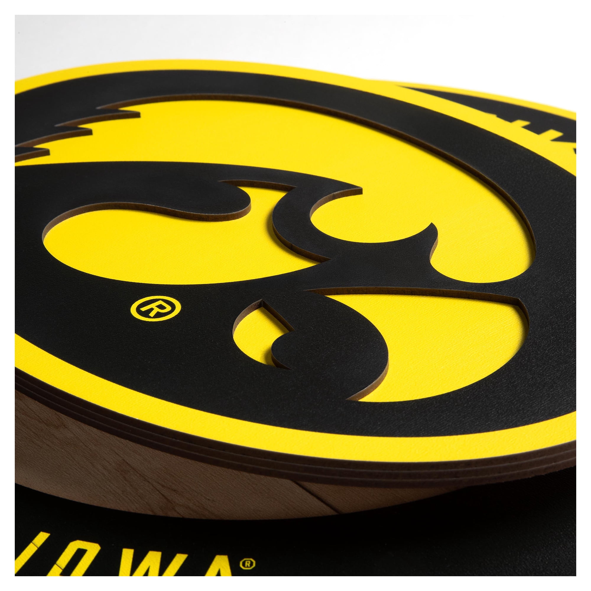 IDNA Iowa Hawkeyes 15" x 15" 3DX Logo Circle Backer Wall Art