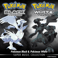 Pokemon Black and White NDS Game DS Cartridge Only,US Version