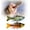 Color-A, variant on Jointed Propeller Tail Swimming Lure for Bass Pike Walleye Freshwater SaltwaterColor-A