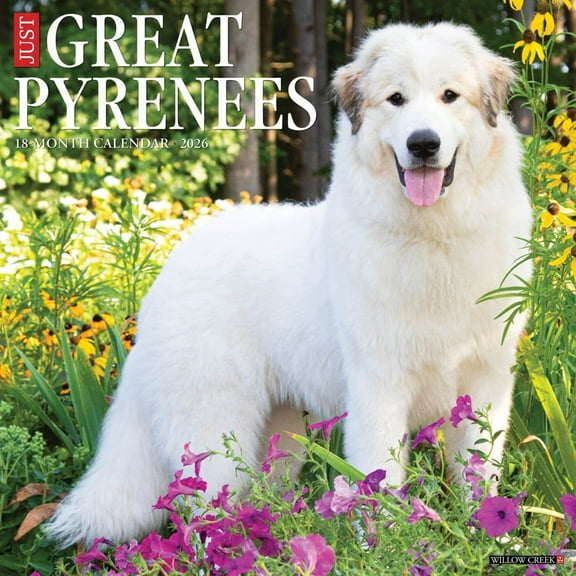 Willow Creek Press, Great Pyrenees 2026 Wall Calendar, 12'' X 12'', 18-Month Calendar with Stapled Binding
