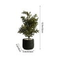 thumbnail image 3 of Black Artificial Potted Plants, Fake Indoor Greenery, Modern Office Desk Decor, Realistic Faux Bonsai, Low Maintenance Home Ornament, Decorative Small Plant, 3 of 6