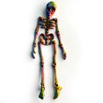 thumbnail image 2 of XGFHYJEH Halloween Decor, Halloween Decorations, Halloween Decorations Indoor, Halloween Decor Indoor, Hallowen Skeleton, 2 of 4