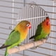 thumbnail image 2 of Espejo para Mascotas ANGGREK Varilla de Pie Jaula de Madera para Pájaros, 2 of 8