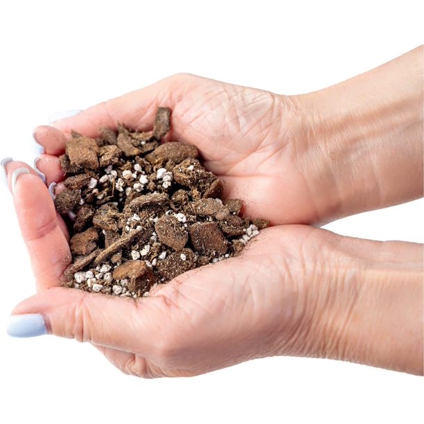 Professional Succulent Soil Premium All Purpose Blend | Pre-Mixed Ready  to Use for Cactus and Succulents | Sphagnum Peat Moss, Perlite, New Zealand  Pine Bark - Made in USA - 2 QUART - Walmart Business Supplies