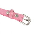 thumbnail image 4 of POINTERTECK - Harnais de Chien Bling Strass Collier Collier Collier Collier Réglable, 4 of 7