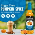 thumbnail image 6 of Syruvia Pumpkin Spice Sugar Free Coffee Syrup 25.4 Fl. Oz With Pump, 6 of 7
