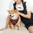 thumbnail image 4 of Uemuo Buffalo Check Plaid Summer Dog Bandanas,Cat Pet scarf,Soft Cotton Puppy Cat Scarfs Washable,Pets Gift-Medium, 4 of 8