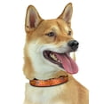 thumbnail image 1 of Zubaz X Pets First NFL Kansas City Chiefs Collar For Dogs & Cats Medium, 1 of 3